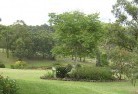 Rushworthresidential-landscaping-40.jpg; ?>