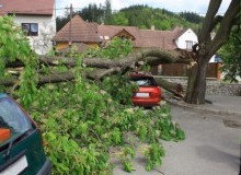 Kwikfynd Tree Cutting Services
rushworth